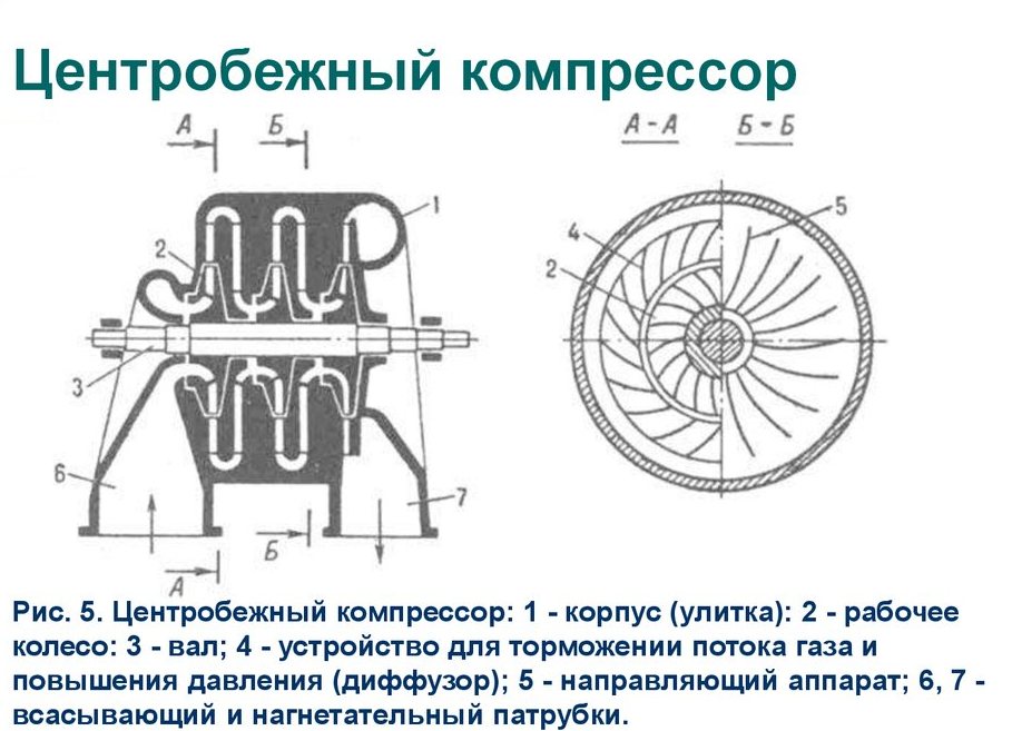 ЦК.jpg